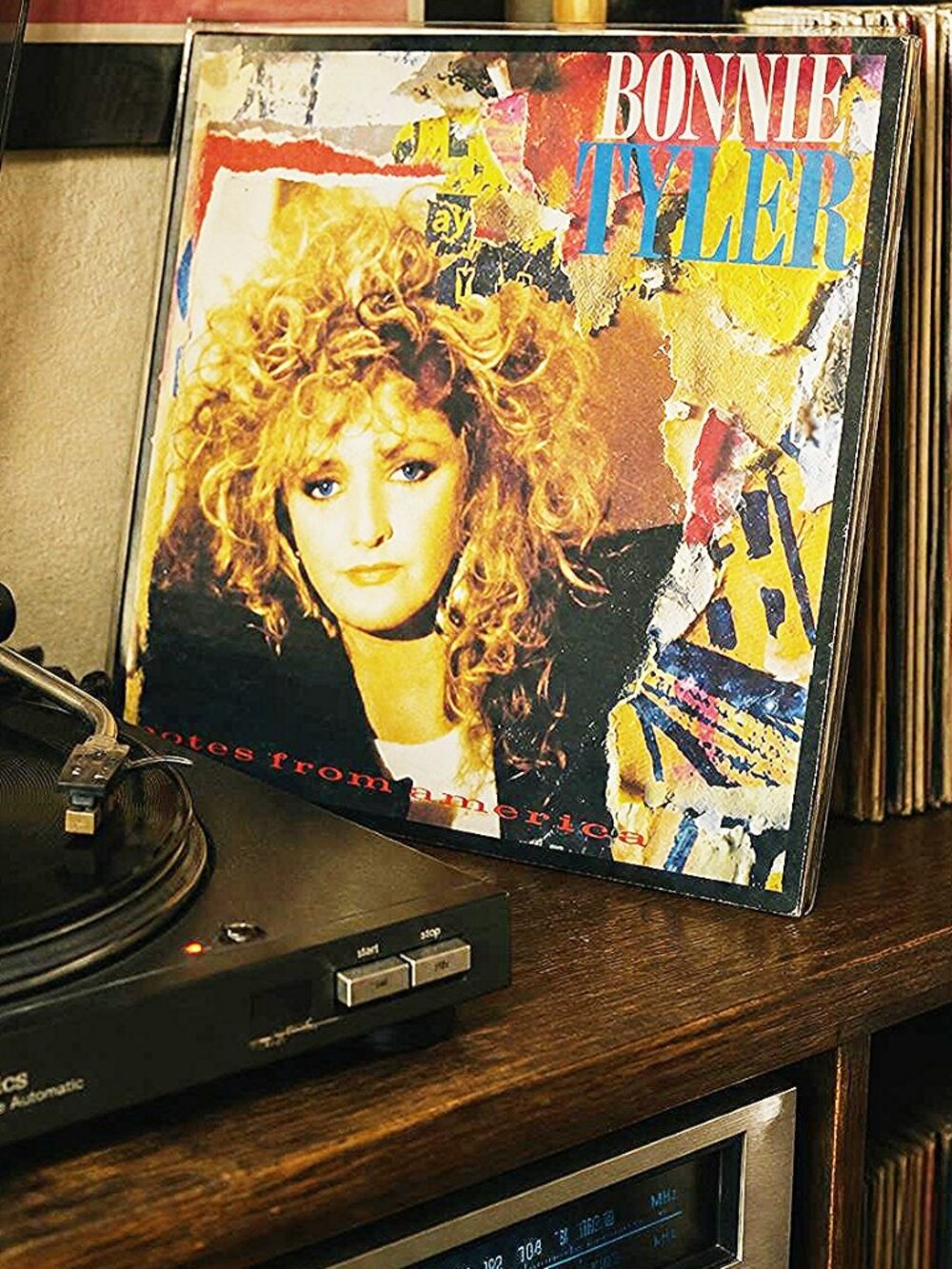 Bonnie Tyler – Notes From America (LP)